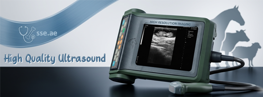 Ultrasound